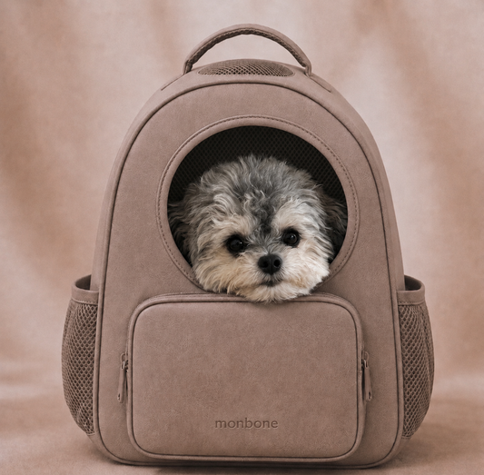The Front Row Backpack
